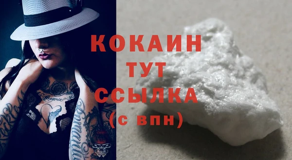 гидра Наволоки