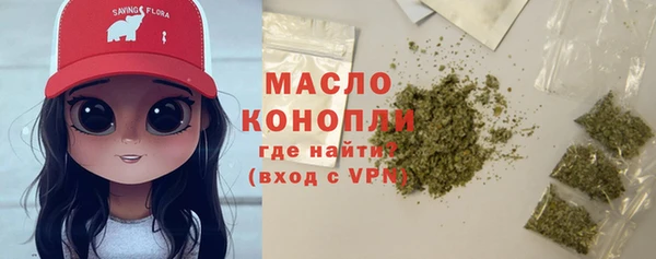 гидра Наволоки