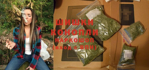 стафф Надым