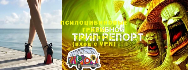 стафф Надым