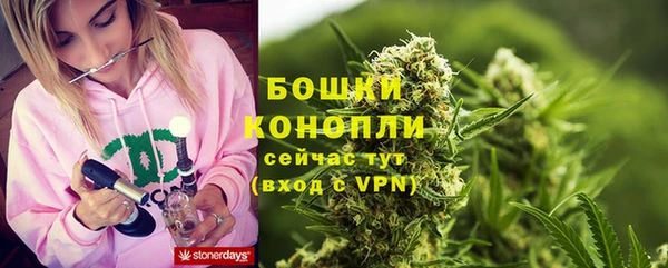 стафф Надым