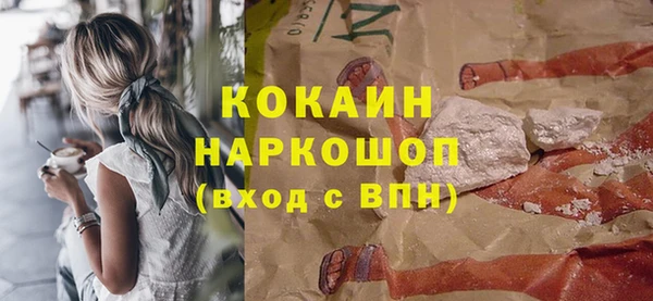 гидра Наволоки