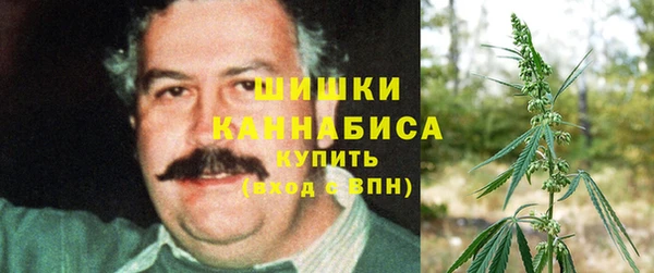 стафф Надым