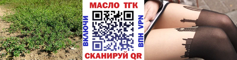 дарнет шоп  Туринск  ТГК THC oil 