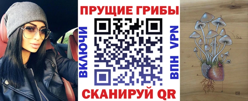 Псилоцибиновые грибы Cubensis  OMG   Туринск 